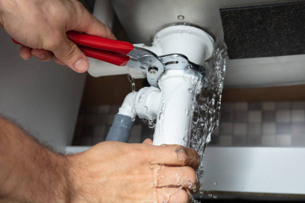 Best Flooded house restoration  in Ellwood City, PA