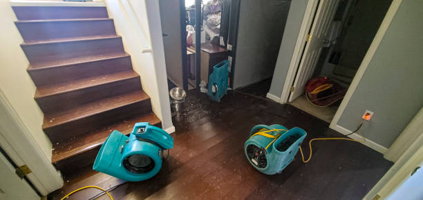 Best Fire Damage Restoration  in Ellwood City, PA