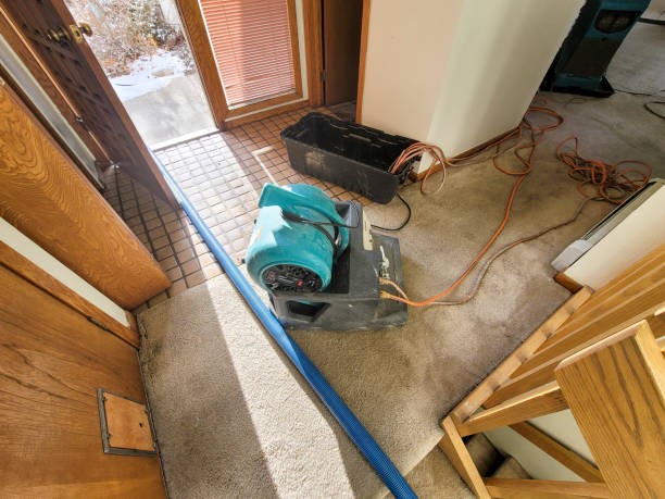 Best Carpet water damage restoration  in Ellwood City, PA