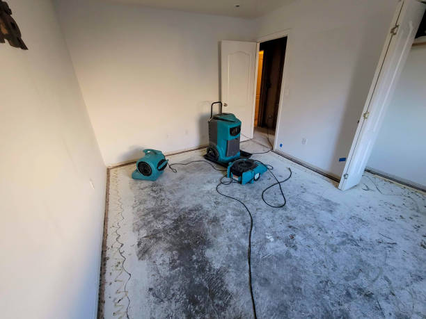 Best Flood restoration services  in Ellwood City, PA
