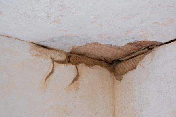 Best Residential water damage restoration  in Ellwood City, PA