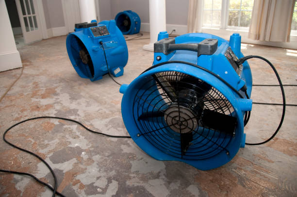 Best Water damage restoration cost  in Ellwood City, PA