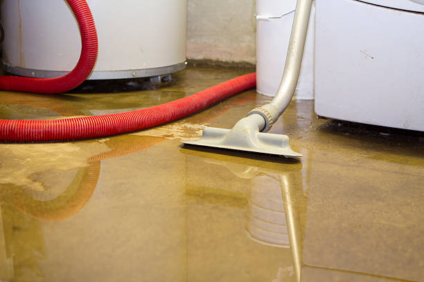 Best Water damage contractors near me  in Ellwood City, PA