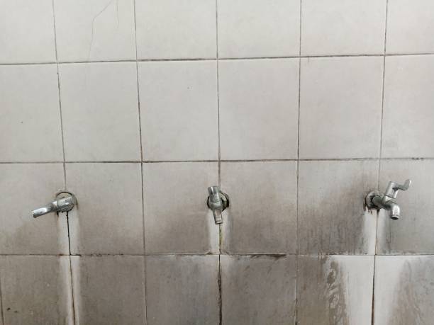 Best Local water damage restoration  in Ellwood City, PA