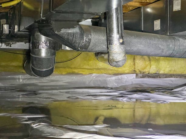 Best Water damage restoration near me  in Ellwood City, PA