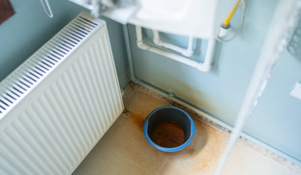Best Sewage cleanup and water damage restoration  in Ellwood City, PA