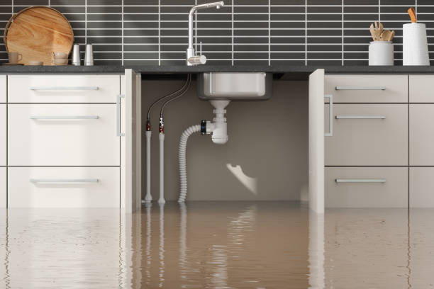 Best 24/7 water damage repair  in Ellwood City, PA