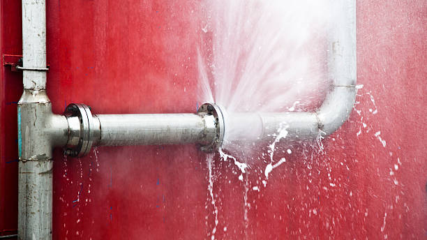 Best Professional water damage repair  in Ellwood City, PA