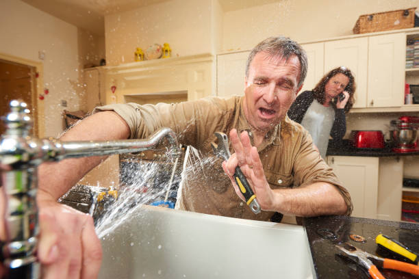 Best Water damage restoration near me  in Ellwood City, PA